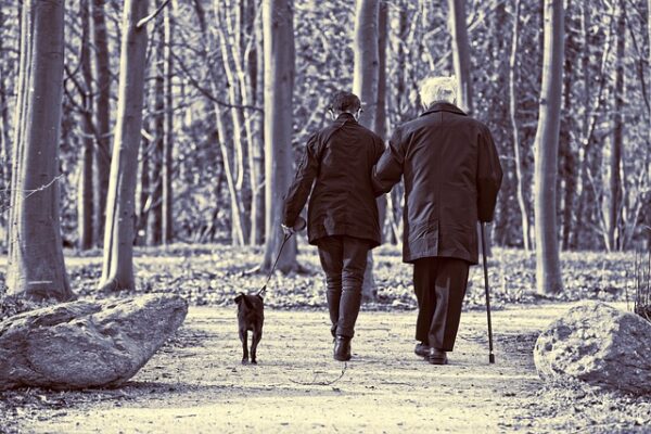 Elderly Couple Walking in Woods